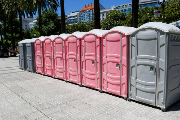 Best Portable Toilets for Disaster Relief Sites  in Goodhue, MN